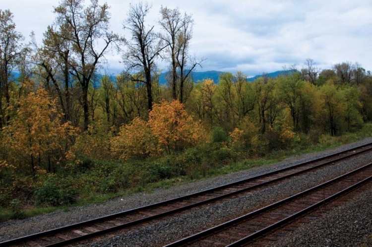 Picture of UNION PACIFIC IV