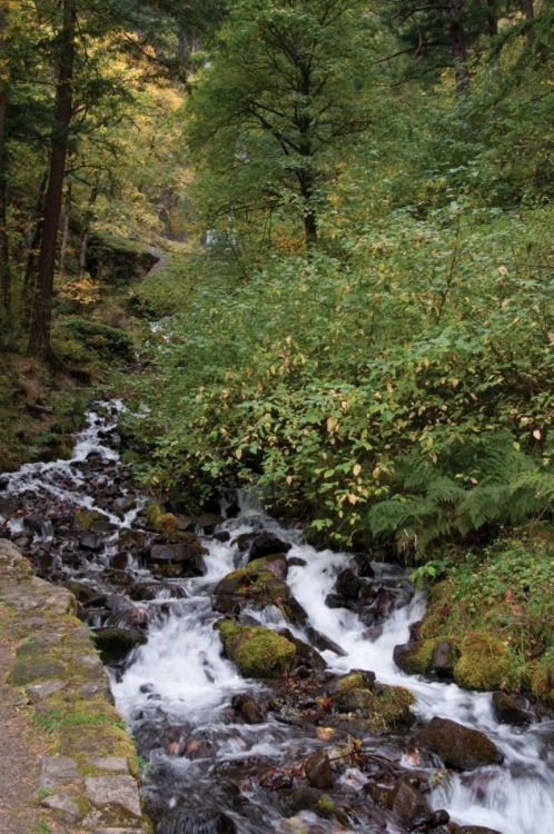 Picture of WAHKEENA FALLS IV