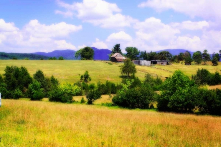 Picture of BLUE RIDGE FARM II