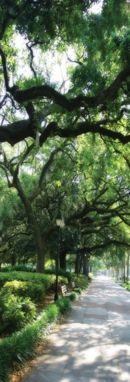 Picture of SAVANNAH SIDEWALK PANEL II