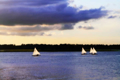 Picture of SUNFISH SAILORS I