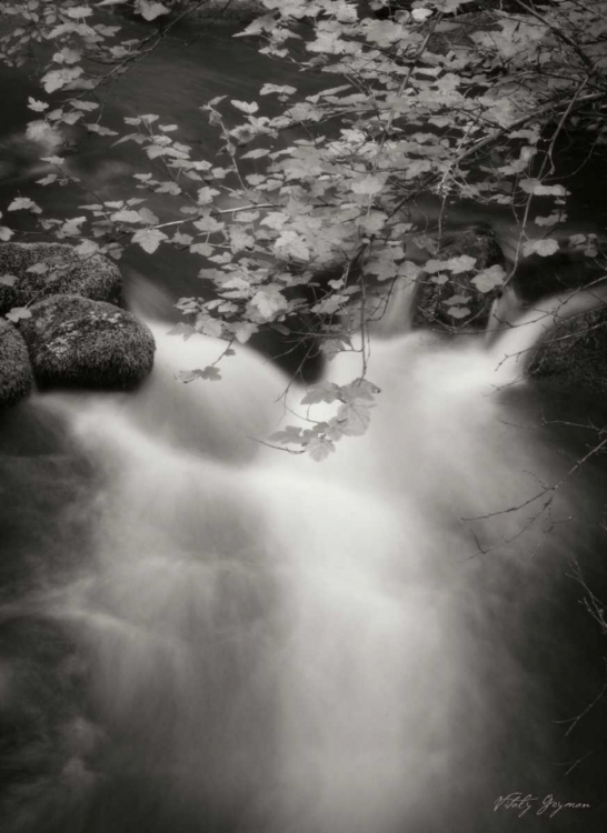 Picture of FLOWING WATERS III