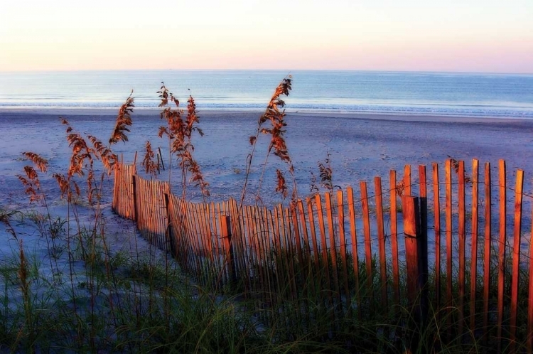 Picture of SUNRISE IN THE DUNES