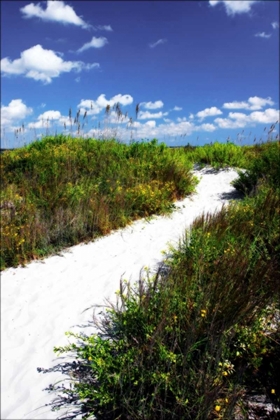 Picture of A SANDY PATHWAY II