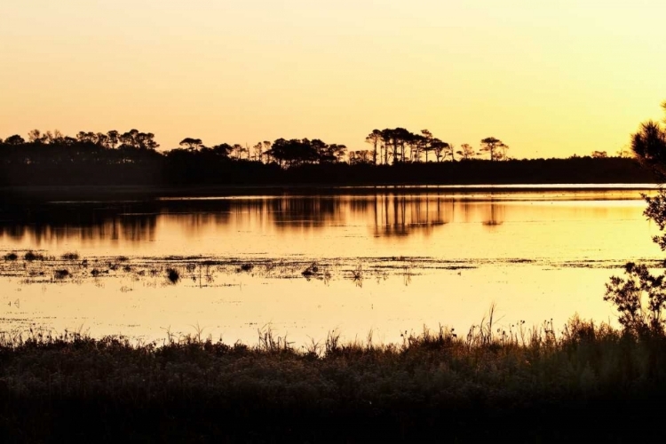 Picture of SNOW GOOSE POOL I