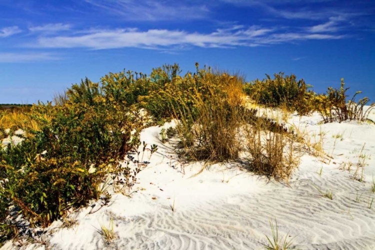 Picture of ASSATEAGUE BEACH I