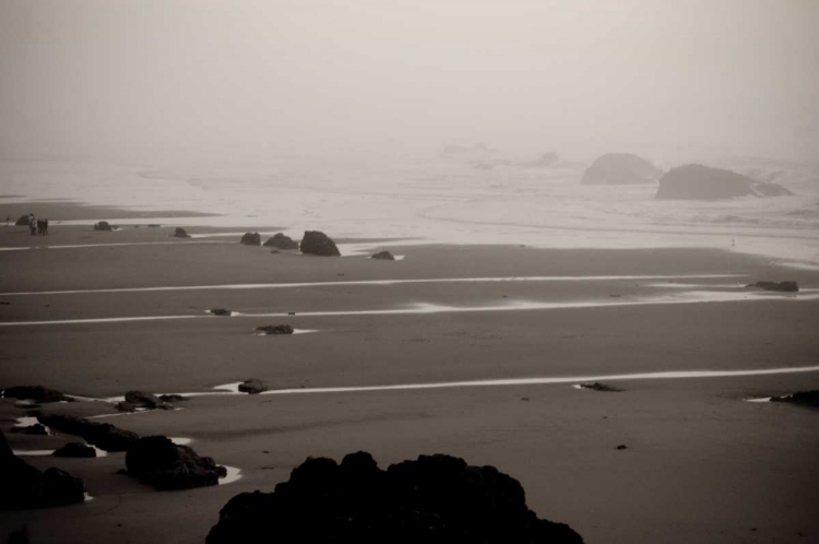 Picture of BEACH AT SEAL ROCK II