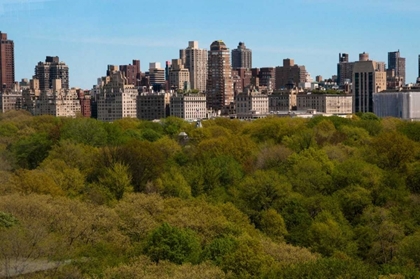 Picture of CENTRAL PARK II