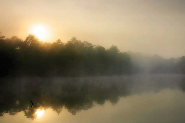 Picture of FOG ON THE MATTAPONI III