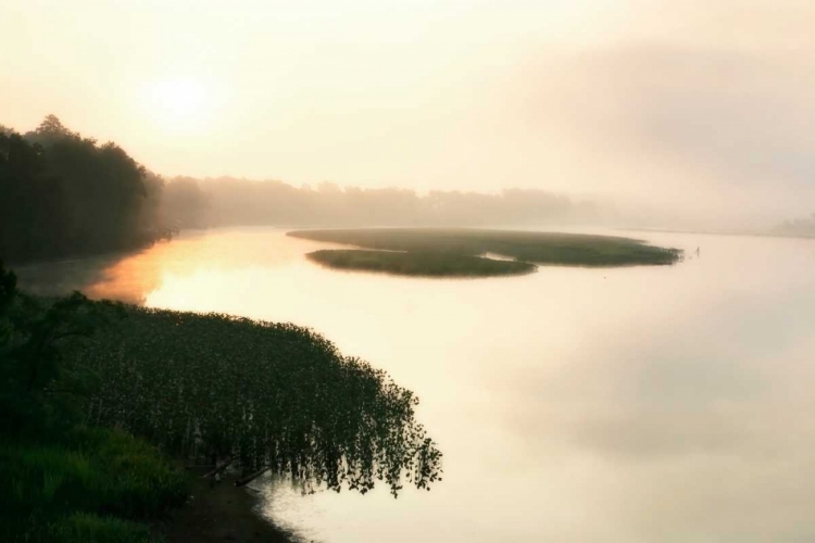 Picture of FOG ON THE MATTAPONI VII