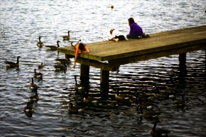 Picture of FEEDING THE GEESE III