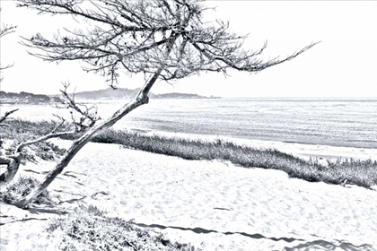 Picture of CARMEL BEACH III