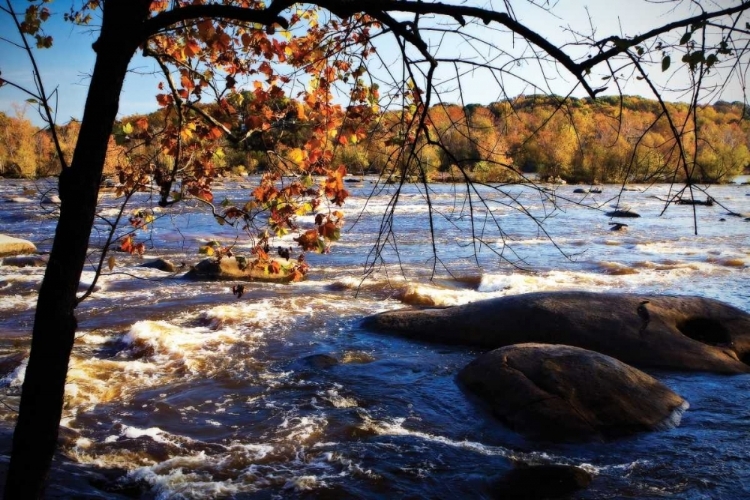 Picture of AUTUMN ON THE JAMES I