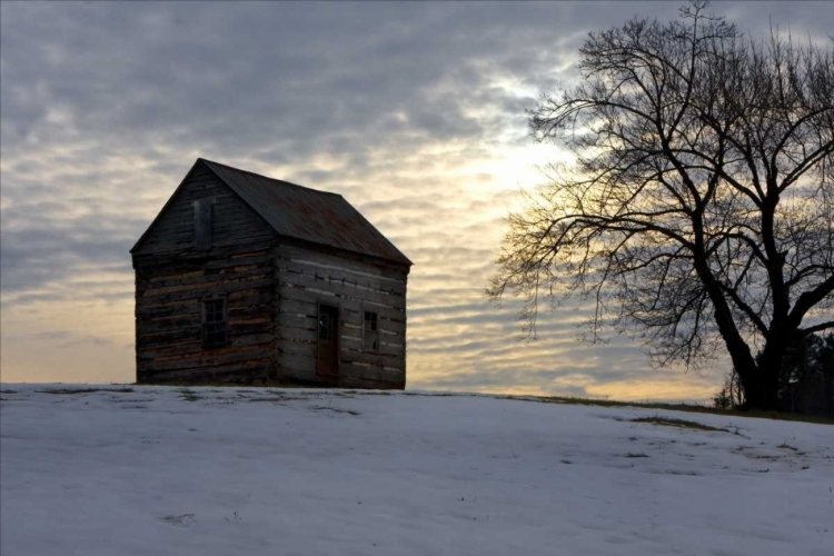 Picture of WINTER SKY I