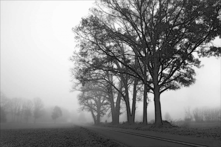 Picture of RURAL POINT ROAD