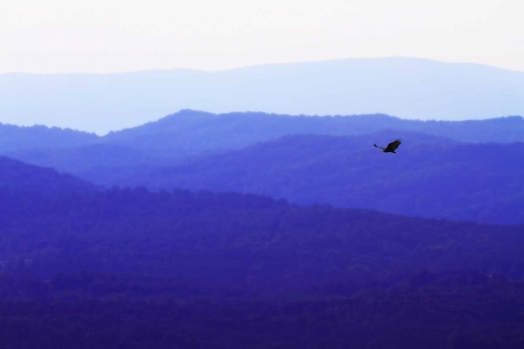 Picture of BLUE RIDGE I