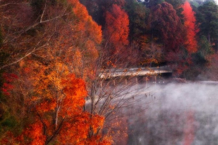 Picture of COLD AUTUMN MORNING I