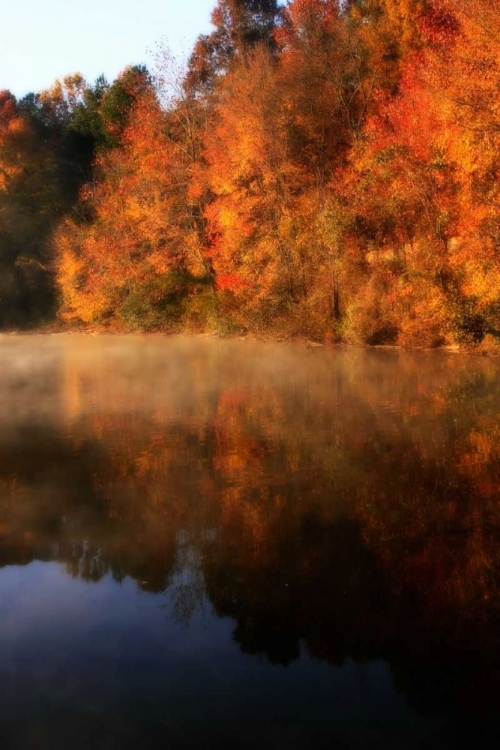 Picture of AUTUMN MIST II