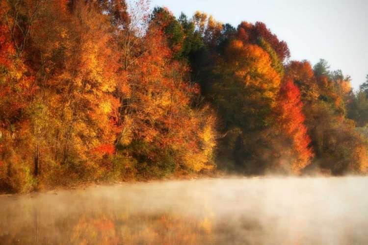 Picture of AUTUMN MIST III