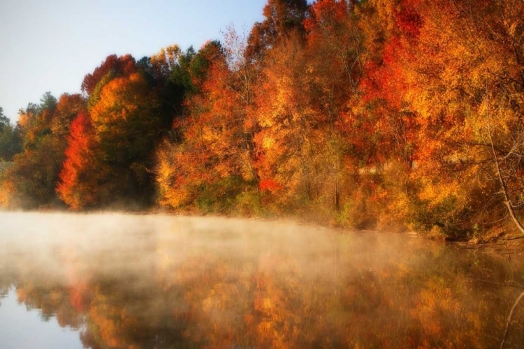 Picture of AUTUMN MIST IV