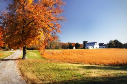 Picture of FAMILY FARM I