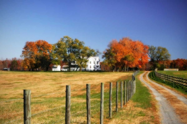 Picture of FAMILY FARM II