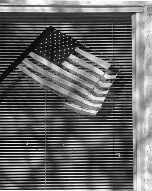 Picture of WINDOW FLAG II