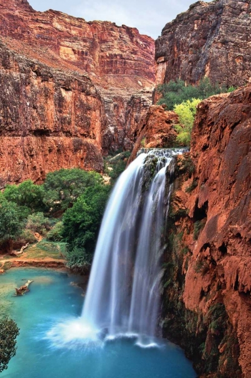 Picture of HAVASU FALLS I