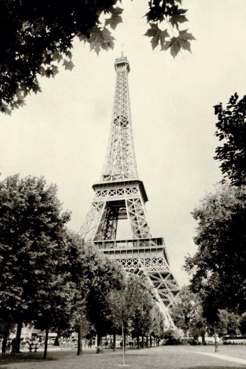 Picture of EIFFEL TOWER I