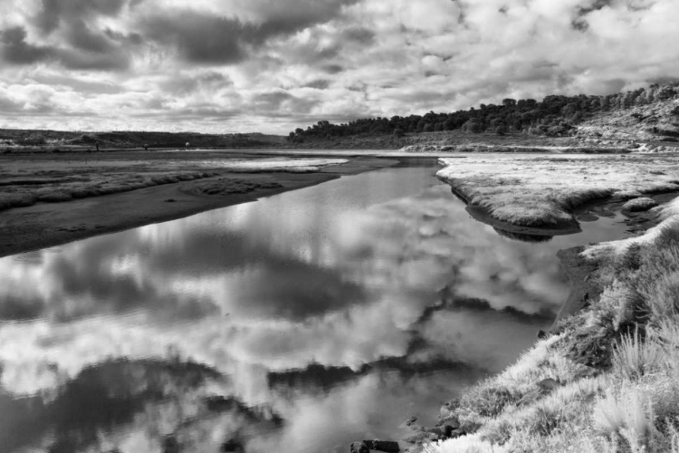 Picture of INFRARED REFLECTIONS