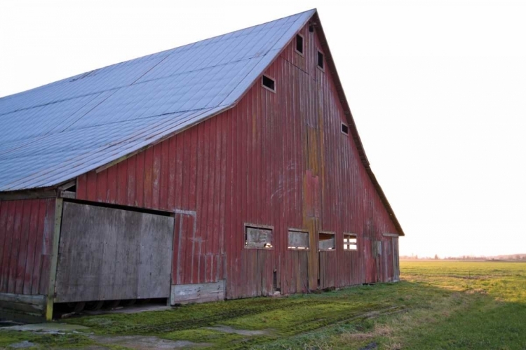 Picture of RED BARN AT SUNSET