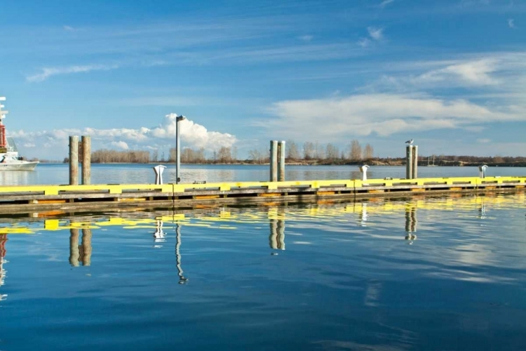 Picture of STEVESTON SCENIC VI