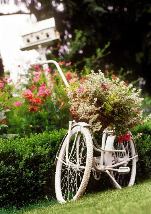 Picture of VINTAGE BICYCLE I