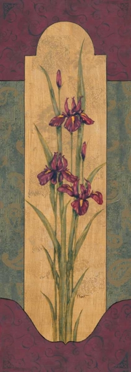 Picture of GREEK IRIS I