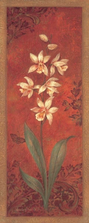 Picture of CYMBIDIUM