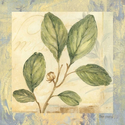 Picture of LEAF BOTANICALS IV