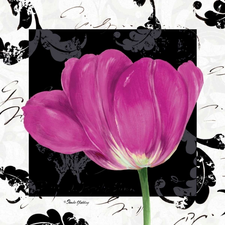 Picture of DAMASK TULIP II