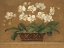 Picture of ORCHID TAPESTRY