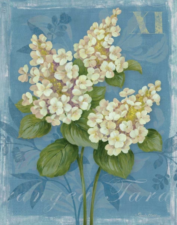 Picture of TARDIVA HYDRANGEA