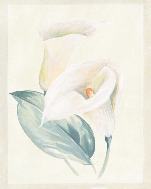 Picture of CALLA LILY I