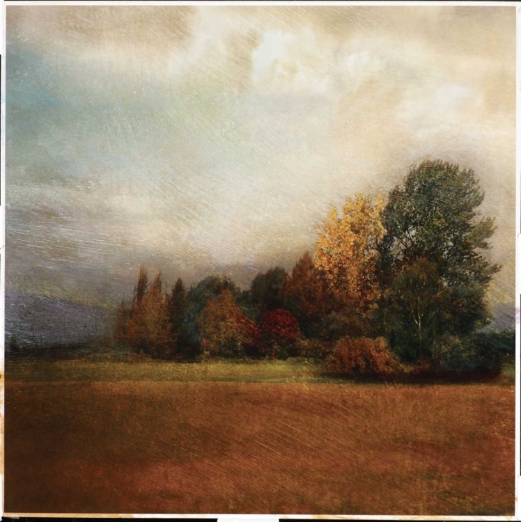 Picture of AUTUMN HORIZON II