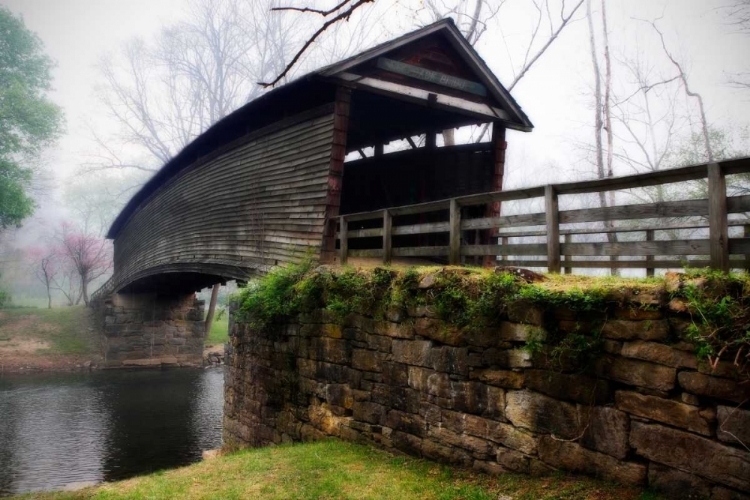 Picture of HUMPBACK BRIDGE II