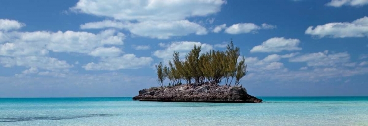 Picture of GAULDING CAY CONCH PANEL