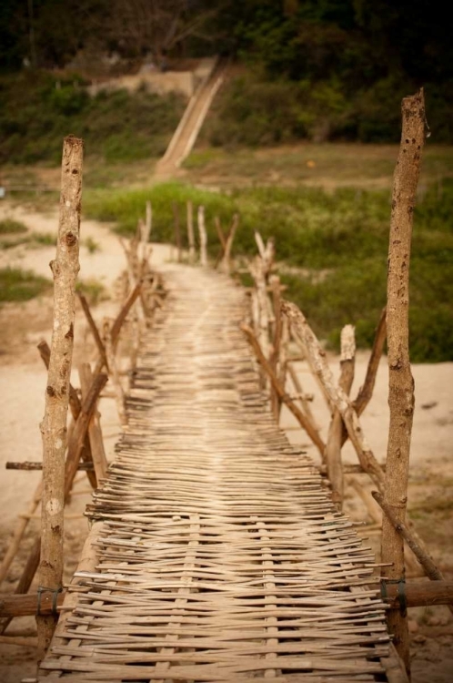 Picture of BAMBOO BRIDGE