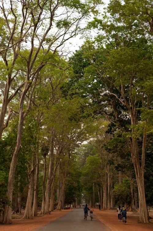 Picture of ROAD TO ANGKOR