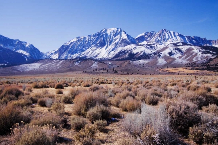 Picture of EASTERN SIERRA II