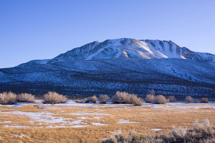 Picture of EASTERN SIERRA III