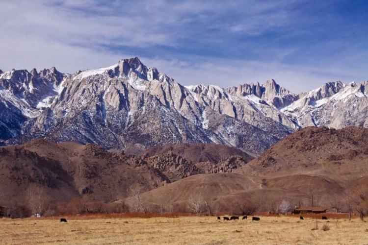 Picture of MT. WHITNEY RANGE I