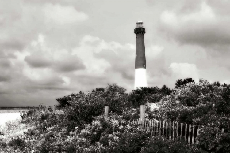 Picture of BARNEGAT BEACH I