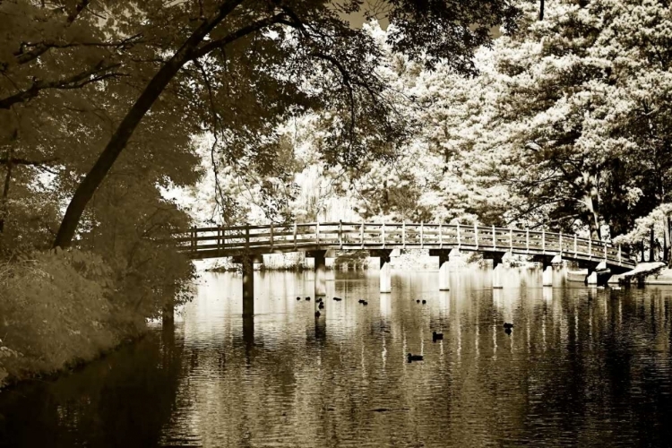 Picture of WESTHAMPTON LAKE II